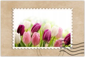 Poszterek 90x60 Gyönyörű tulipánok