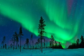Művészeti fotózás Aurora Borealis  Northern Lights Sweden, Dave Moorhouse, (40 x 26.7 cm)