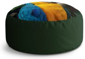 Circle zsámoly ara, színes