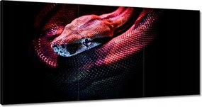 Vászonkép 180x90 Állatok