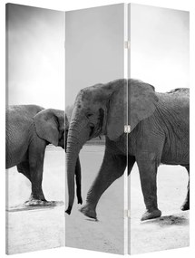 Paraván - Elefántok (126x170 cm)