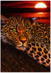 Poszterek 70x100 Leopárd párduc