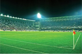 Flizelin fotótapéta Stadion foci energia sport 254x184 +ragasztó