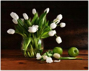 Poszterek 50x40 Fehér tulipánok Sötét háttér