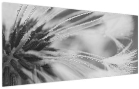Kép - Pitypang (120x50 cm)