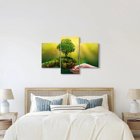 Kép - anyaország (90x60 cm)