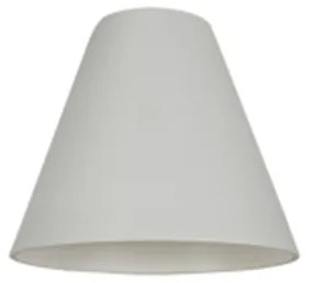 Cone