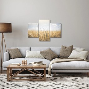 A gabona képe (90x60 cm)