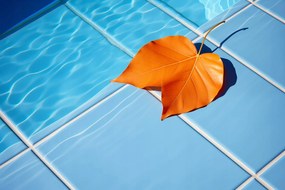 Poszter 91,5x61cm Levél a víz mellett