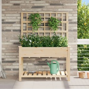 Kerti Virágláda Trellis-szel és Polccal 115x59x152 cm Tömör Fenyő