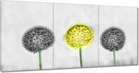 Vászonkép 180x90 Sárga pitypang