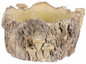 Beton burkolat - tusk with mushrooms, 26 x 24 x 14cm, 26 cm