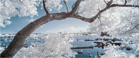A víz mellett egy havas fa képe (120x50 cm)