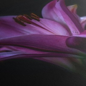 A liliom képe (70x50 cm)