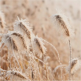 Fotótapéta Flizelin Dekoratív Hálószoba Téli tájkép 250x250 Ragasztó