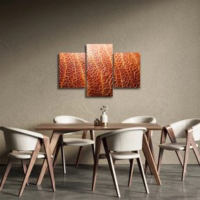 Kép - Textúra részlet (90x60 cm)
