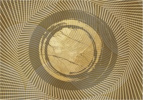 Stílusos Dekoratív fotótapéta Flizelin Sugárzó vonalak 208x146