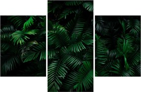 Kép - trópusi páfrány (90x60 cm)