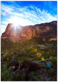 Poszterek A4 Pion Tájkép kaktuszokkal