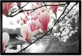 Poszter keretben 60x40 Magnólia Virágok