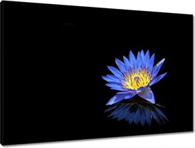 Vászonkép 90x60 Virágok