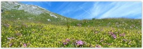 Poszterek 200x66 Alpesi rét