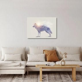 Kép - Vad tájakat tükröző sarkvidéki farkas (üvegen) (70x50 cm)