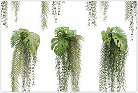 Poszterek 120x80 Monstera Lyukas levelek