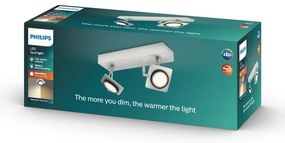 Philips 53192/48/P0 - LED Spotlámpa MILLENNIUM 2xLED/4,5W/230V