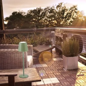 Leuchten Direkt 19250-43 - LED Kültéri újratölthető lámpa EURIA LED/3W/5V IP54