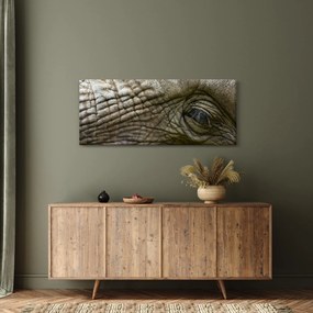 Kép - Közelkép az öreg elefánt szeméről (120x50 cm)