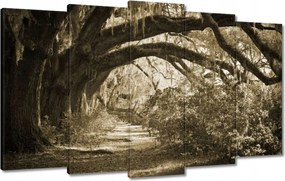 Vászonkép 100x60 Tölgyek a Szépia parkban