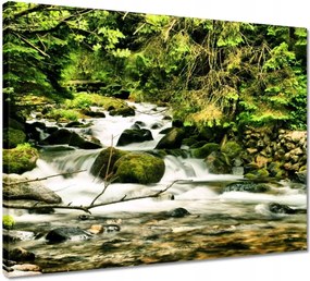Vászonkép 50x40 Folyó a Tátrában