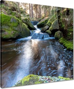 Vászonkép 50x50 Csendes folyószakasz