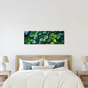 Kép - Zöld növények (órával) (90x30 cm)
