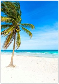 Poszterek 70x100 Trópusok Tájkép Pálma