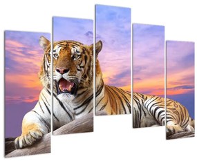 Kép - fekvő, tigris (125x90cm)