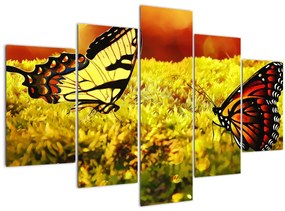 Pillangó képe (150x105 cm)