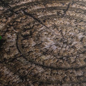 Kép egy levél a fatörzsön (90x60 cm)