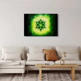 Kép - Virág mandala zöld háttérrel (90x60 cm)