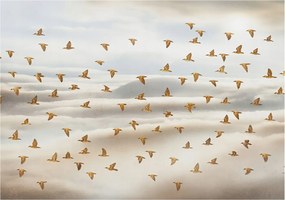 Divatos Flizelin Tapéta Ragasztóval Fali 3D Madarak Repülés 312x219 Ragasztó