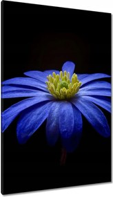 Vászonkép 80x120 Kék virág