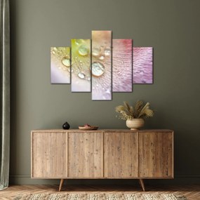 Kép - Harmatcseppek (150x105 cm)