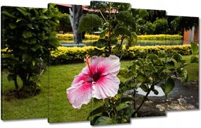 Vászonkép 100x60 Virágok