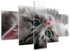 Festés - macskák (150x105cm)