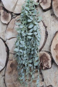 Szürkészöld mű aeschynanthus 80cm