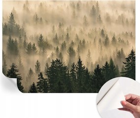 Fotótapéta Dekoratív Fali Tapéta Képekkel Erdei köd 208x146