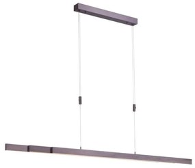 Paul Neuhaus 2568-24 - LED dimmelhető csillár zsinóron ADRIANA LED/14W/230V