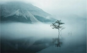 Fotótapéta Flizelin Dekoratív tapéta A természet misztikuma 416x254 Ragasztó