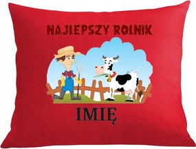 Párna párnahuzat Legjobb Gazda Ajándék